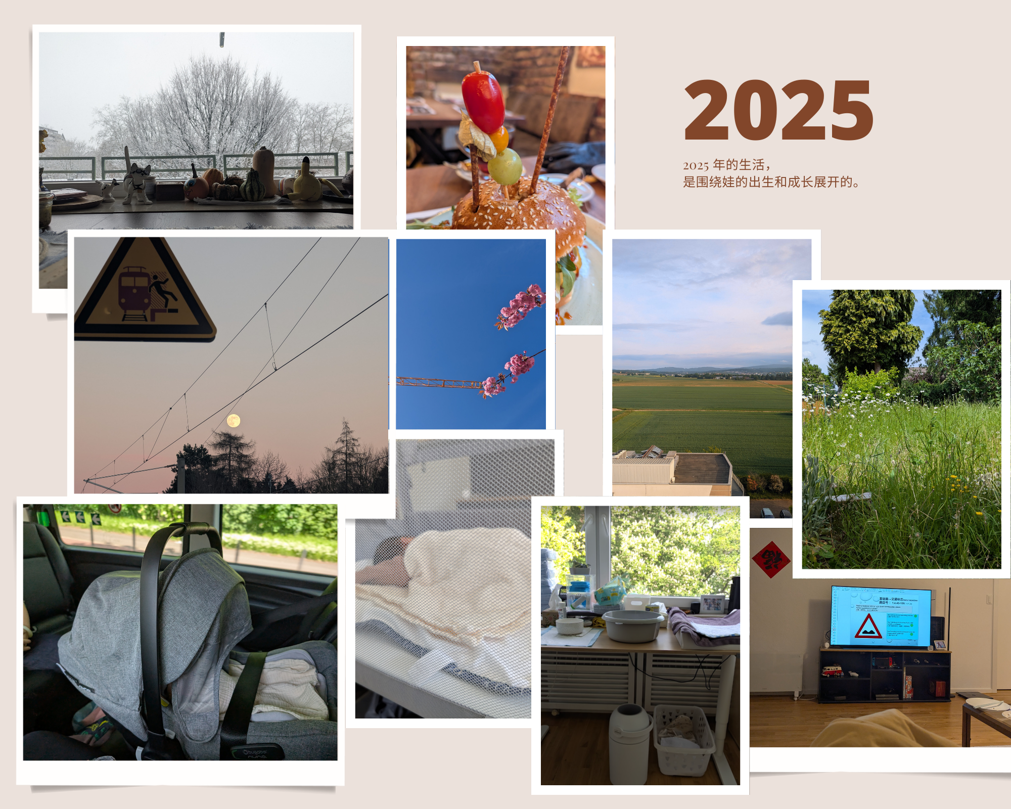 一图胜千言：2025 年生活概览。下雪啦；看房；春天花开；娃出生；管理培训；搬家；考驾照。